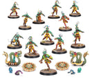 Blood Bowl Team - Amazon - Kara Temple Harpies