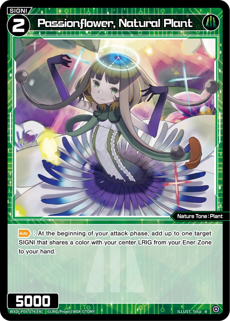Passionflower, Natural Plant (WXDi-P05-074) [Curiosity Diva]