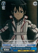 Kirito Joins the Knights of the Blood Oath (SAO/S20-TE10 TD) [Sword Art Online]