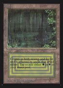 Bayou [International Collectors' Edition]