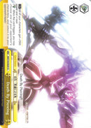 Death By Piercing (AW/S18-E029 CC) [Accel World]
