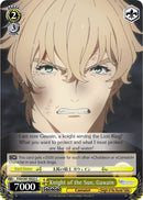 Knight of the Sun, Gawain (FGO/S87-E022 C) [Fate/Grand Order THE MOVIE Divine Realm of the Round Table: Camelot]